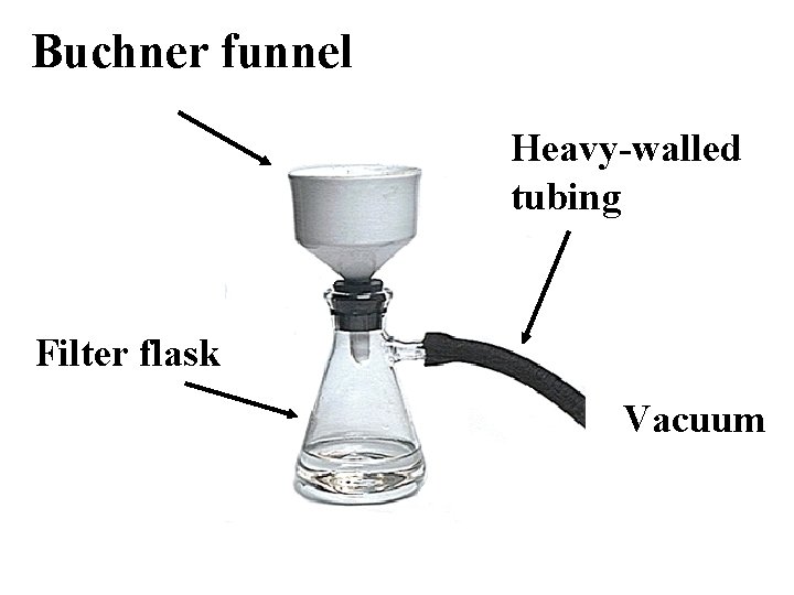 Buchner funnel Heavy-walled tubing Filter flask Vacuum 