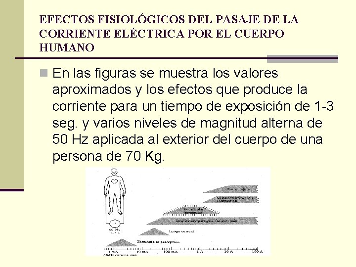 EFECTOS FISIOLÓGICOS DEL PASAJE DE LA CORRIENTE ELÉCTRICA POR EL CUERPO HUMANO n En