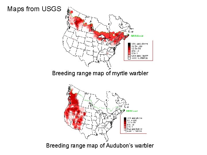 Maps from USGS Breeding range map of myrtle warbler Breeding range map of Audubon’s