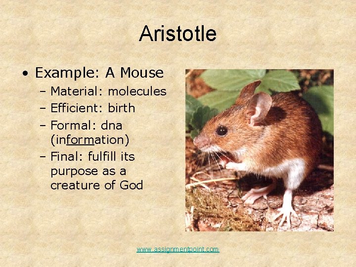 Aristotle • Example: A Mouse – Material: molecules – Efficient: birth – Formal: dna