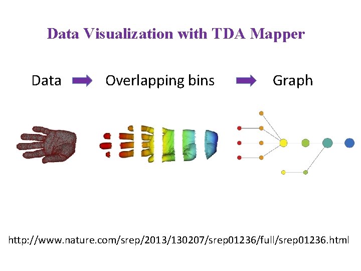 Data Visualization with TDA Mapper Data Overlapping bins Graph http: //www. nature. com/srep/2013/130207/srep 01236/full/srep Data Visualization with TDA Mapper Data Overlapping bins Graph http: //www. nature. com/srep/2013/130207/srep 01236/full/srep