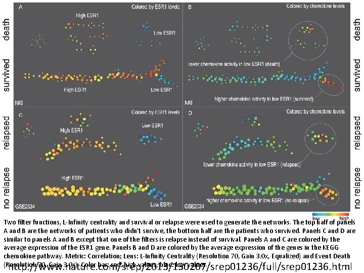Two filter functions, L-Infinity centrality and survival or relapse were used to generate the Two filter functions, L-Infinity centrality and survival or relapse were used to generate the