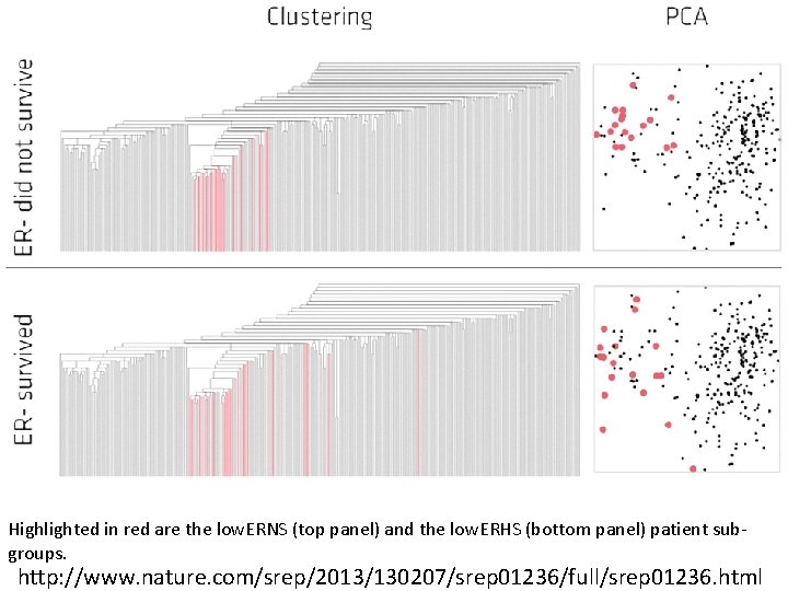 Highlighted in red are the low. ERNS (top panel) and the low. ERHS (bottom Highlighted in red are the low. ERNS (top panel) and the low. ERHS (bottom