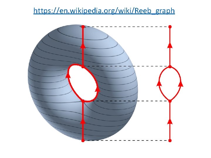 https: //en. wikipedia. org/wiki/Reeb_graph https: //en. wikipedia. org/wiki/Reeb_graph