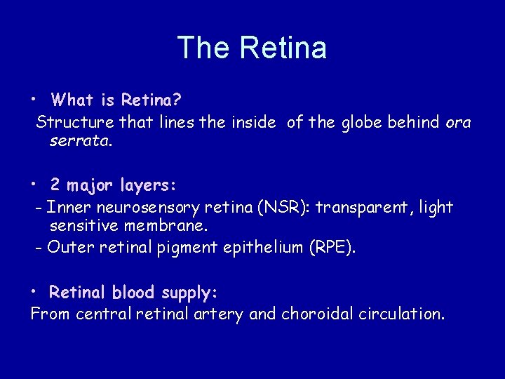 The Retina • What is Retina? Structure that lines the inside of the globe