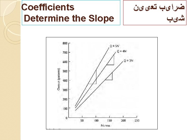 Coefficients Determine the Slope ﺿﺮﺍیﺐ ﺗﻌییﻦ ﺷیﺐ 