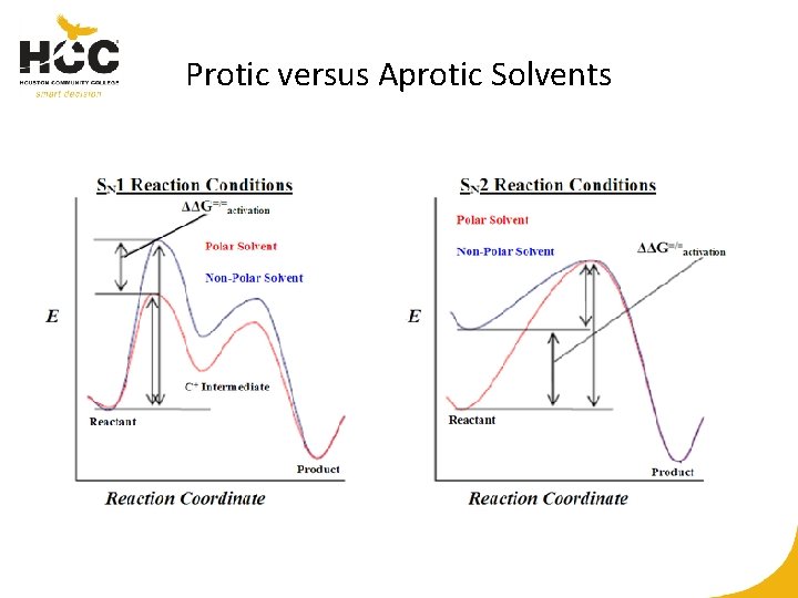 Protic versus Aprotic Solvents 
