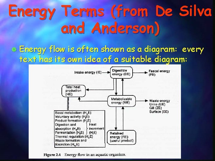 Energy Terms (from De Silva and Anderson) ] Energy flow is often shown as