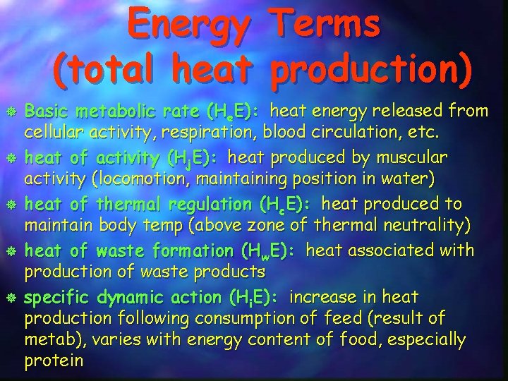 Energy (total heat ] ] ] Terms production) Basic metabolic rate (He. E): heat