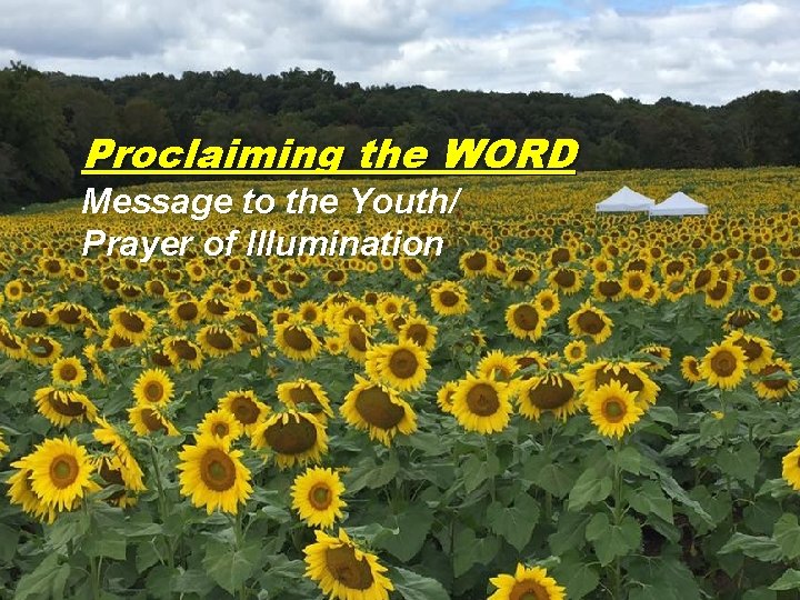 Proclaiming the WORD Message to the Youth/ Prayer of Illumination 