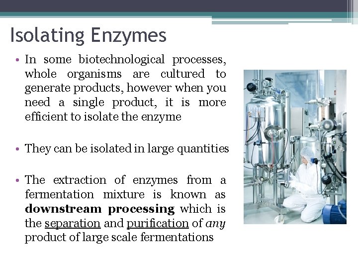 Isolating Enzymes • In some biotechnological processes, whole organisms are cultured to generate products,