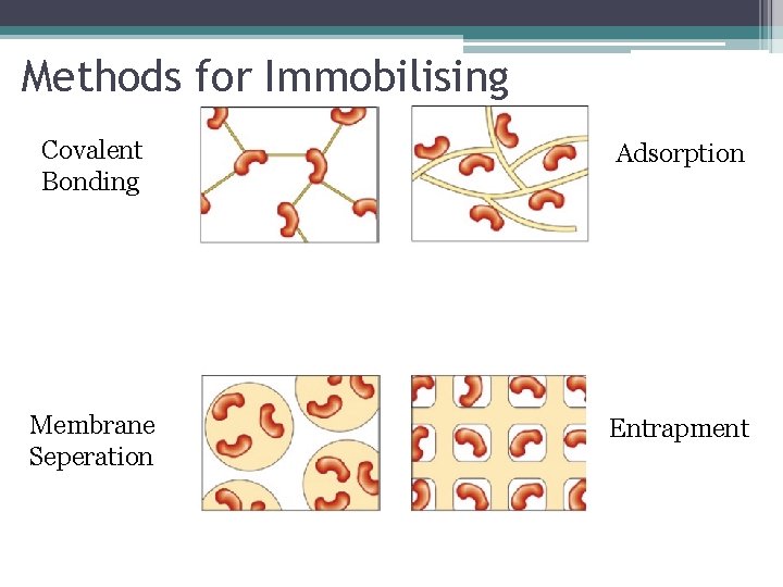 Methods for Immobilising Covalent Bonding Adsorption Membrane Seperation Entrapment 