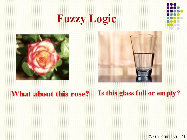 Fuzzy Logic What about this rose? Is this glass full or empty? © Gal