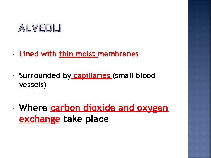  Lined with thin moist membranes Surrounded by capillaries (small blood vessels) Where carbon