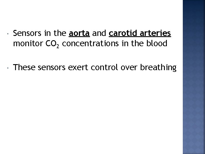  Sensors in the aorta and carotid arteries monitor CO 2 concentrations in the