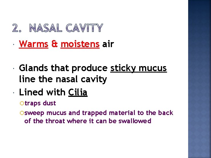  Warms & moistens air Glands that produce sticky mucus line the nasal cavity