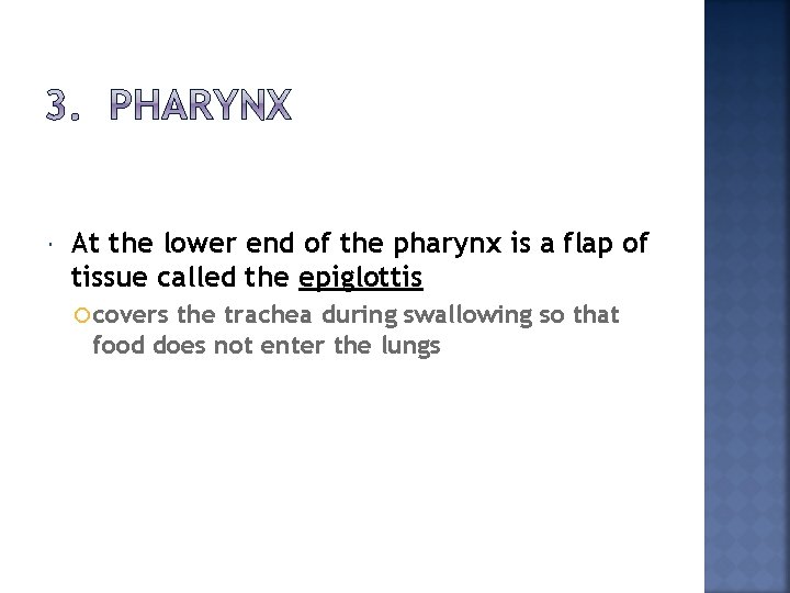  At the lower end of the pharynx is a flap of tissue called