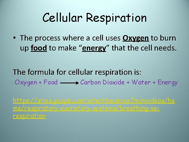 Cellular Respiration • The process where a cell uses Oxygen to burn up food