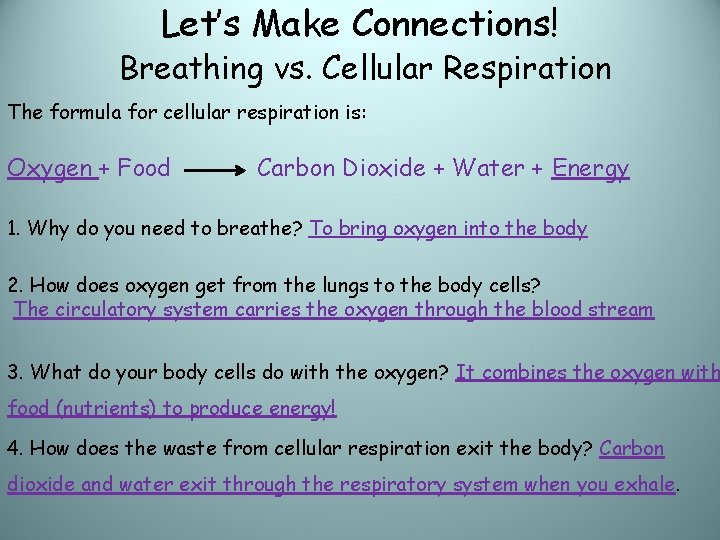 Let’s Make Connections! Breathing vs. Cellular Respiration The formula for cellular respiration is: Oxygen