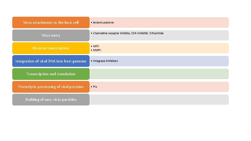 Virus attachment to the host cell Virus entry Reverse transcription Integration of viral DNA