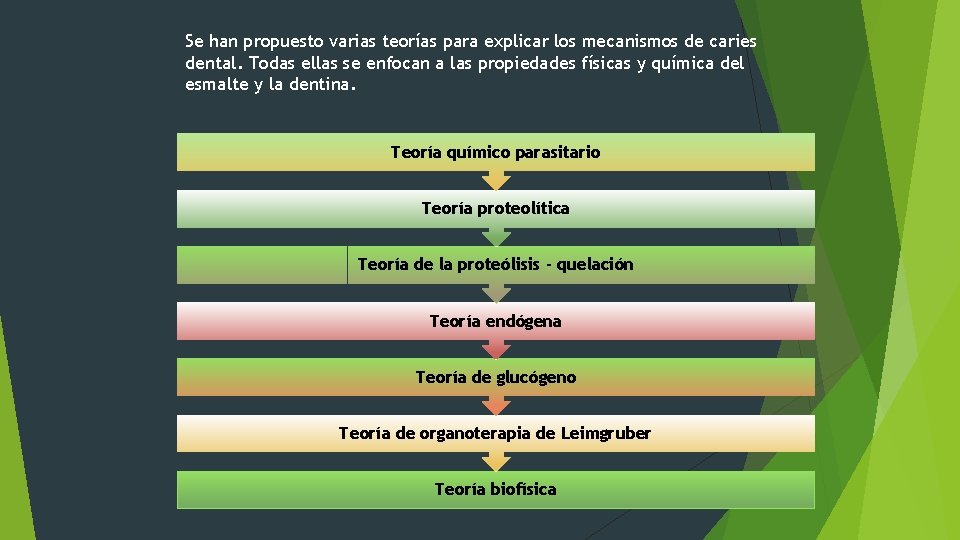 Se han propuesto varias teorías para explicar los mecanismos de caries dental. Todas ellas