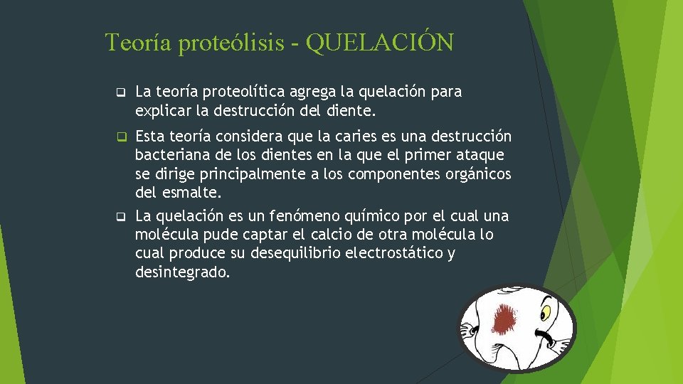 Teoría proteólisis - QUELACIÓN q La teoría proteolítica agrega la quelación para explicar la