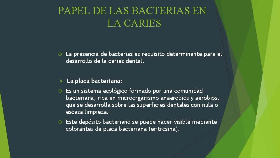 PAPEL DE LAS BACTERIAS EN LA CARIES v La presencia de bacterias es requisito