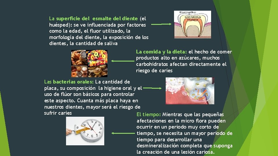 La superficie del esmalte del diente (el huésped): se ve influenciada por factores como