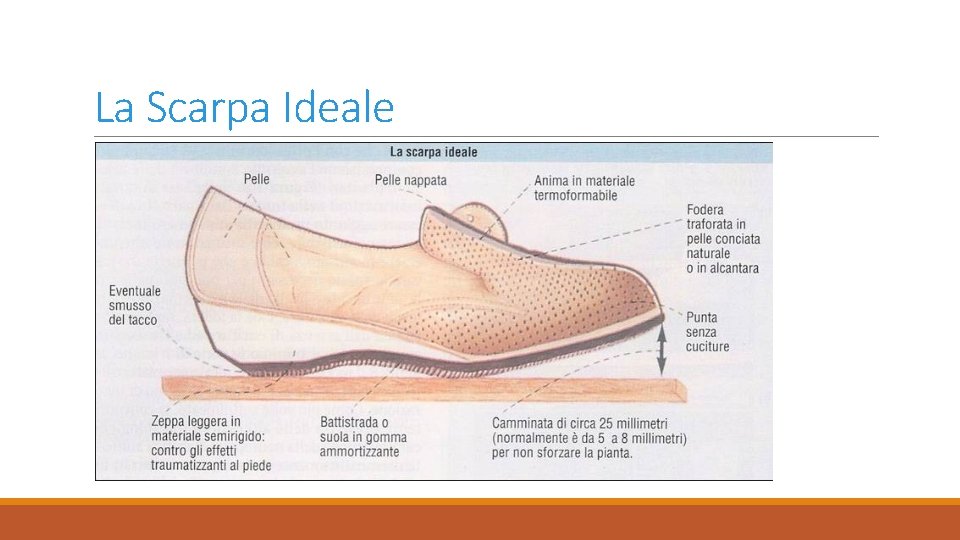 La Scarpa Ideale 