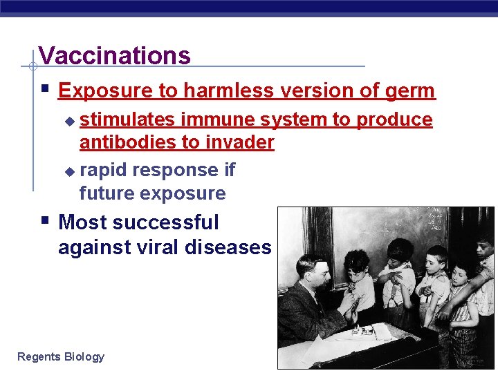 Vaccinations § Exposure to harmless version of germ stimulates immune system to produce antibodies