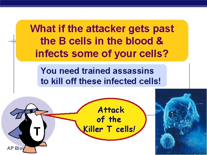 What if the attacker gets past the B cells in the blood & infects