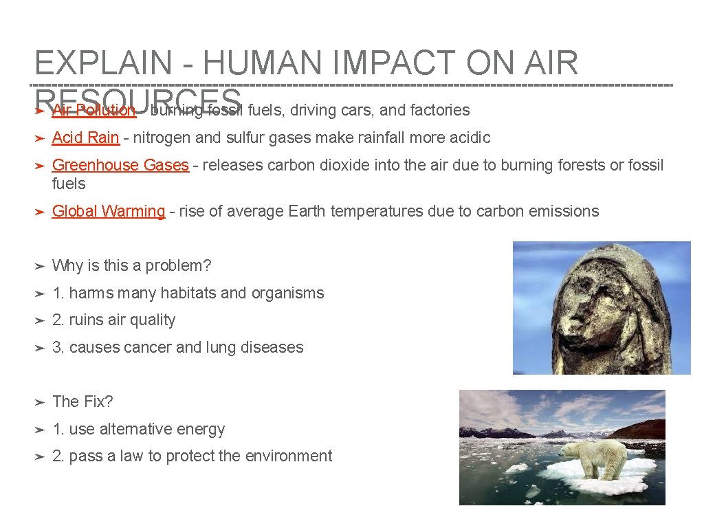 HUMAN IMPACT Big Q How have human activities