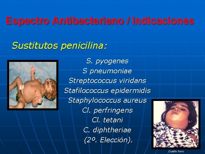 Espectro Antibacteriano / Indicaciones Sustitutos penicilina: S. pyogenes S pneumoniae Streptococcus viridans Stafilococcus epidermidis