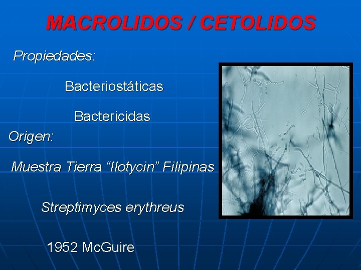 MACROLIDOS / CETOLIDOS Propiedades: Bacteriostáticas Bactericidas Origen: Muestra Tierra “Ilotycin” Filipinas Streptimyces erythreus 1952