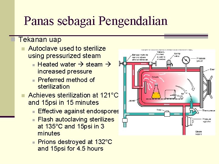Panas sebagai Pengendalian n Tekanan uap n Autoclave used to sterilize using pressurized steam