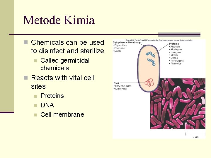 Metode Kimia n Chemicals can be used to disinfect and sterilize n Called germicidal