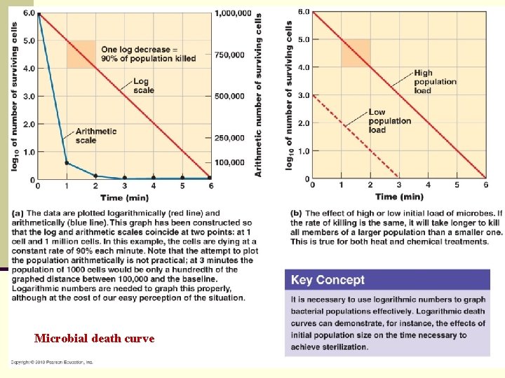 Microbial death curve 