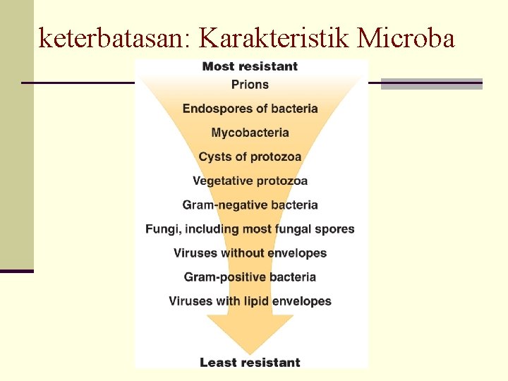 keterbatasan: Karakteristik Microba 