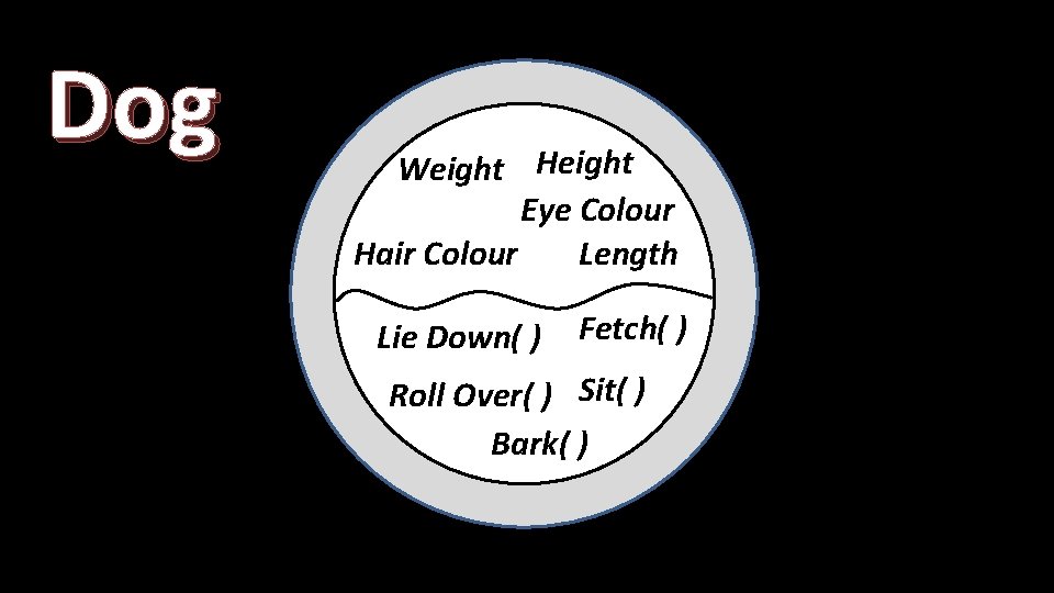 Dog Weight Height Eye Colour Hair Colour Length Lie Down( ) Fetch( ) Roll