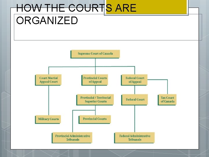 HOW THE COURTS ARE ORGANIZED 