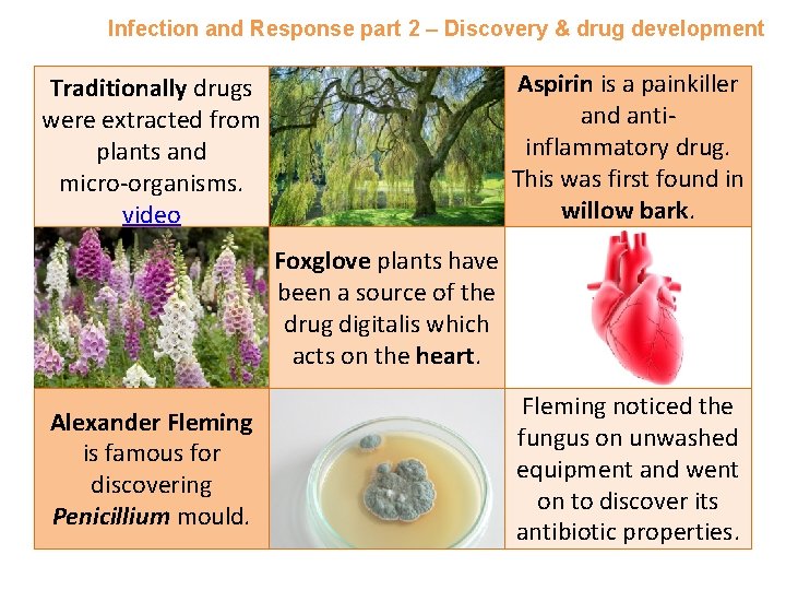 Infection and Response part 2 – Discovery & drug development Aspirin is a painkiller