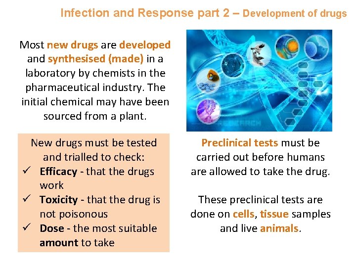 Infection and Response part 2 – Development of drugs Most new drugs are developed