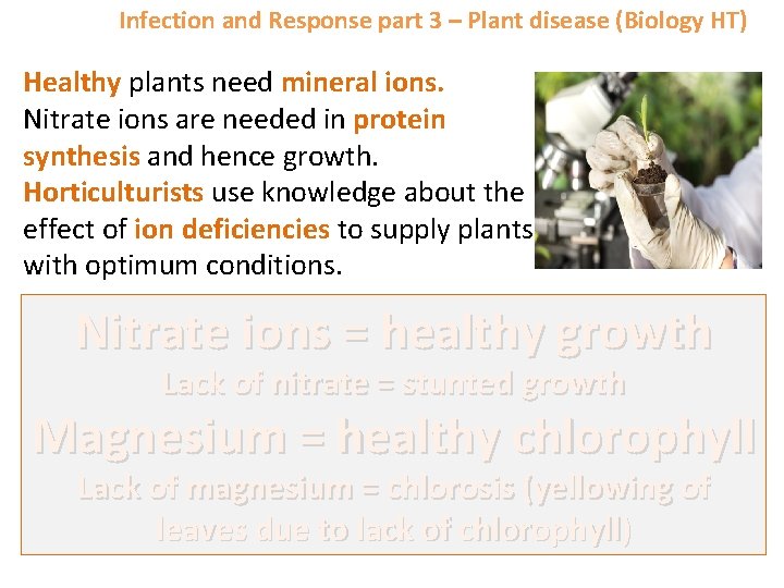 Infection and Response part 3 – Plant disease (Biology HT) Healthy plants need mineral