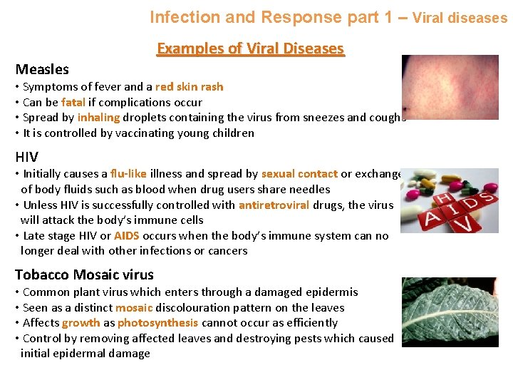 Infection and Response part 1 – Viral diseases Examples of Viral Diseases Measles •