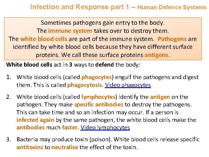 Infection and Response part 1 – Human Defence Systems Sometimes pathogens gain entry to