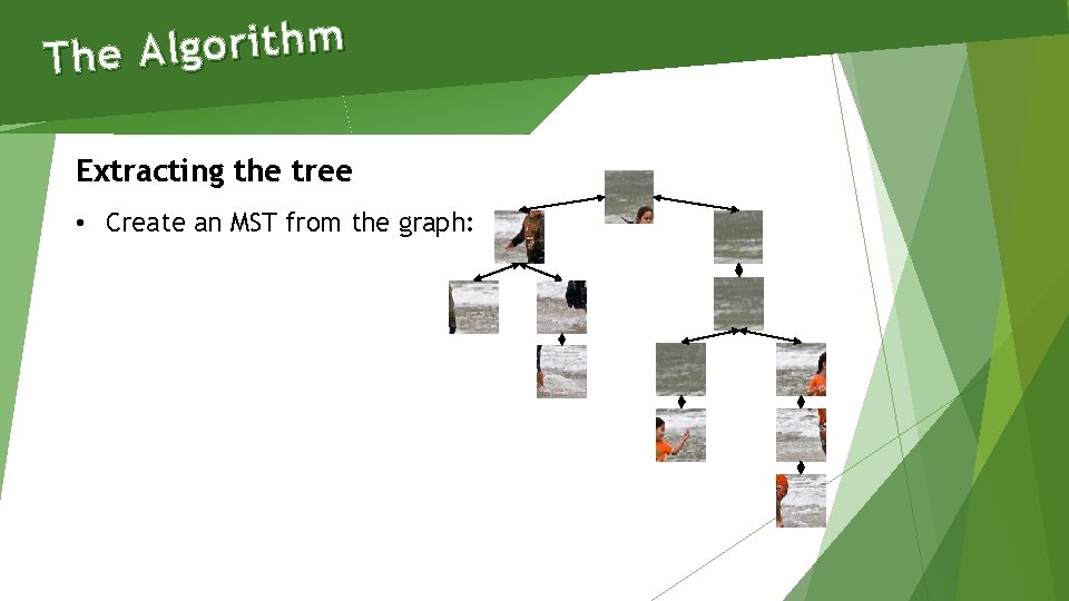 m h t i r o g l A The Extracting the tree •