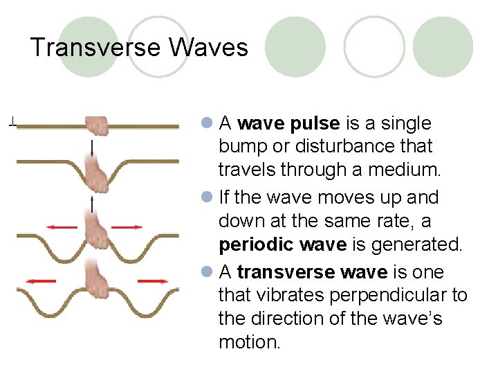 Transverse Waves l A wave pulse is a single bump or disturbance that travels