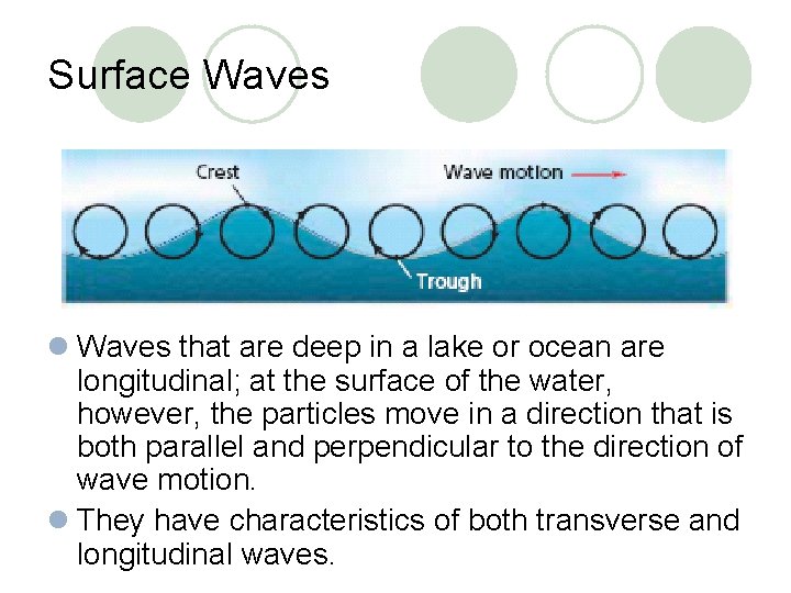 Surface Waves l Waves that are deep in a lake or ocean are longitudinal;