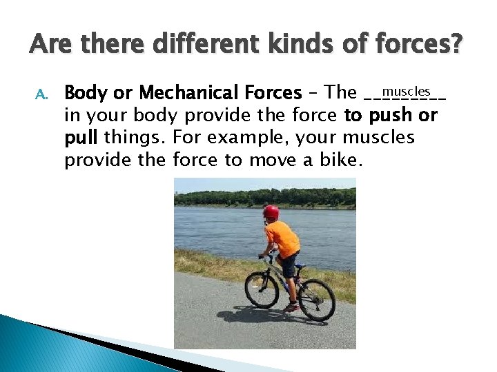 Are there different kinds of forces? A. muscles Body or Mechanical Forces – The