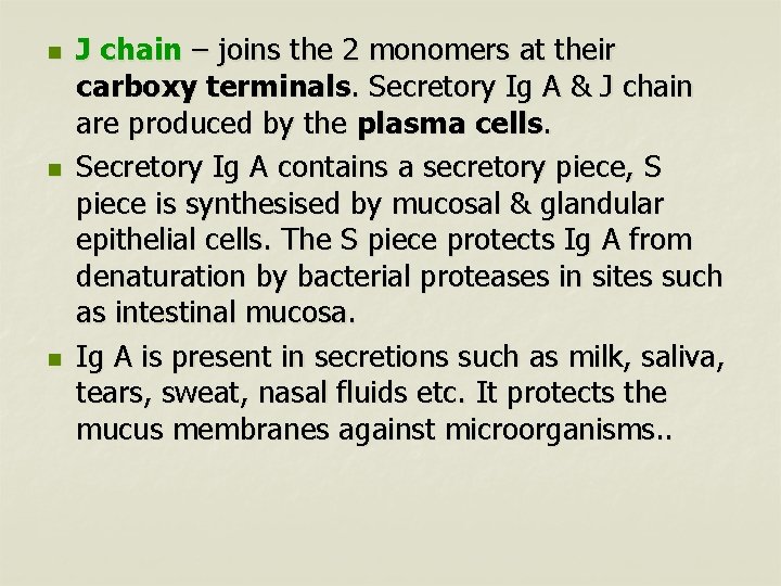 n n n J chain – joins the 2 monomers at their carboxy terminals.